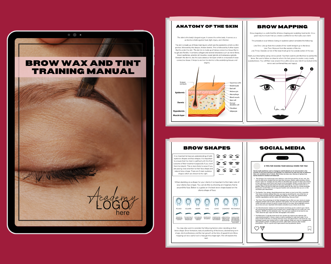 Brow wax and tint training manual cover on red background